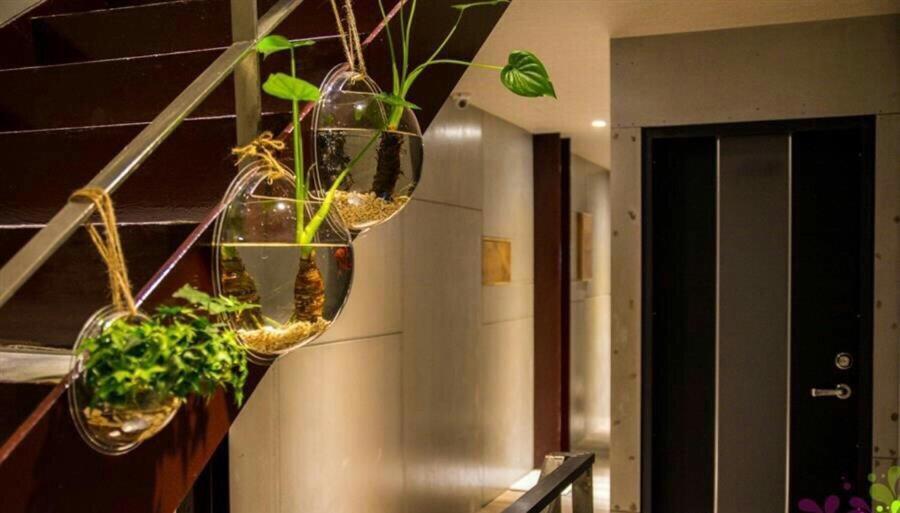 Yy Elleys Home Csiaohszi Kültér fotó